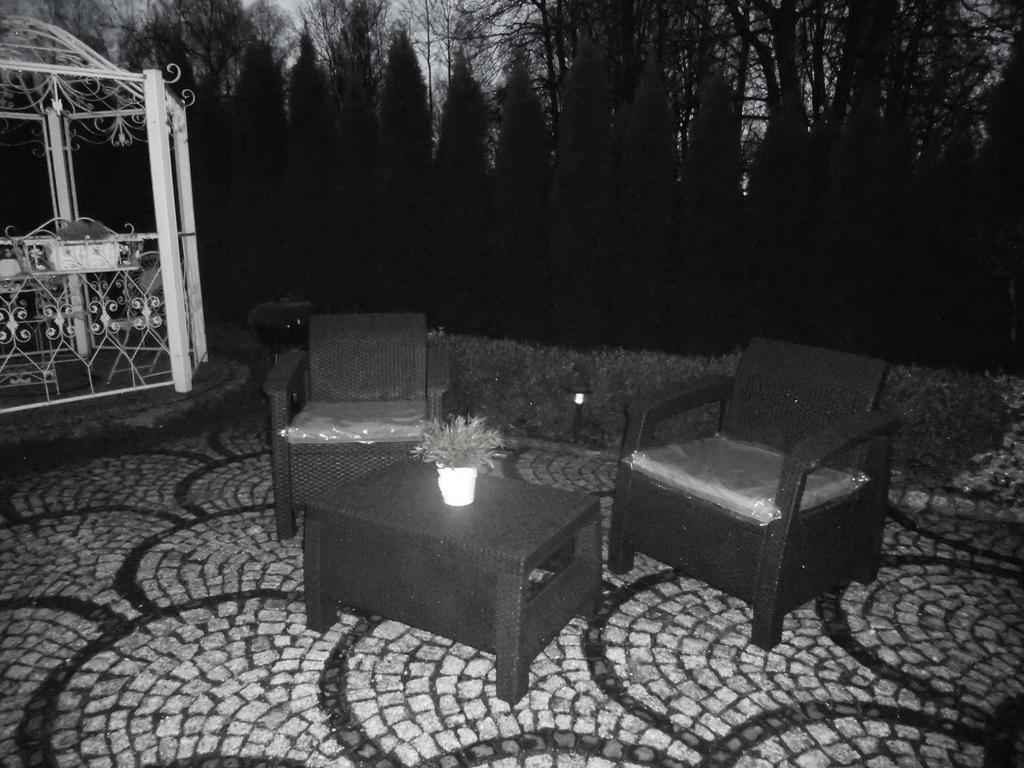 Mizerowka Guest House Kudowa-Zdrój Buitenkant foto
