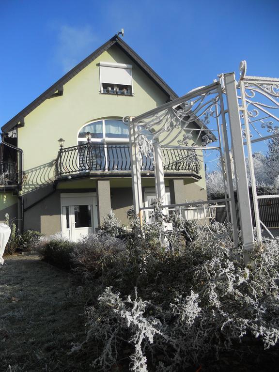 Mizerowka Guest House Kudowa-Zdrój Buitenkant foto